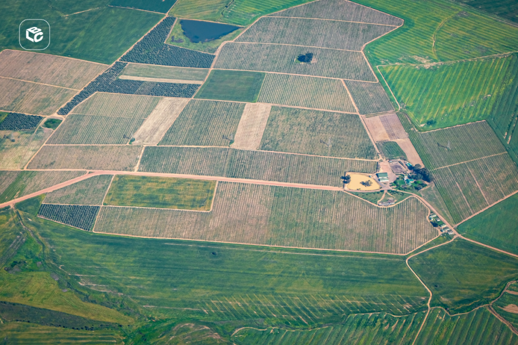 Vista aérea de uma extensa área rural dividida em grandes lotes agrícolas de diferentes tonalidades de verde e bege. Estradas de terra cruzam a paisagem formando um mosaico geométrico de plantações, com pequenos reservatórios de água e edificações rurais visíveis ao centro e nas extremidades da imagem. A fotografia representa atividade agrícola, produção rural, uso da terra e desenvolvimento do agronegócio em ampla escala.