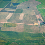Vista aérea de uma extensa área rural dividida em grandes lotes agrícolas de diferentes tonalidades de verde e bege. Estradas de terra cruzam a paisagem formando um mosaico geométrico de plantações, com pequenos reservatórios de água e edificações rurais visíveis ao centro e nas extremidades da imagem. A fotografia representa atividade agrícola, produção rural, uso da terra e desenvolvimento do agronegócio em ampla escala.